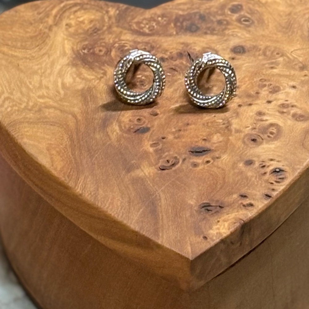 Elegant Silver Twisted Hoop Earrings